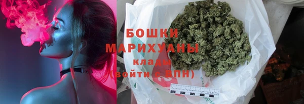 шишки Беломорск