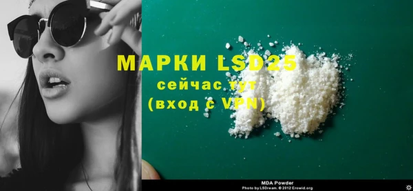 шишки Беломорск
