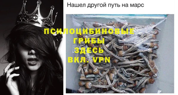 твердый Белокуриха