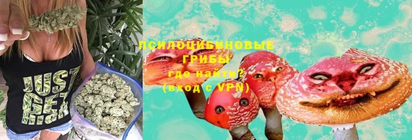 шишки Беломорск